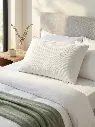Gemini_Generated_Image_t4k33it4k33it4k3 (1).webp
